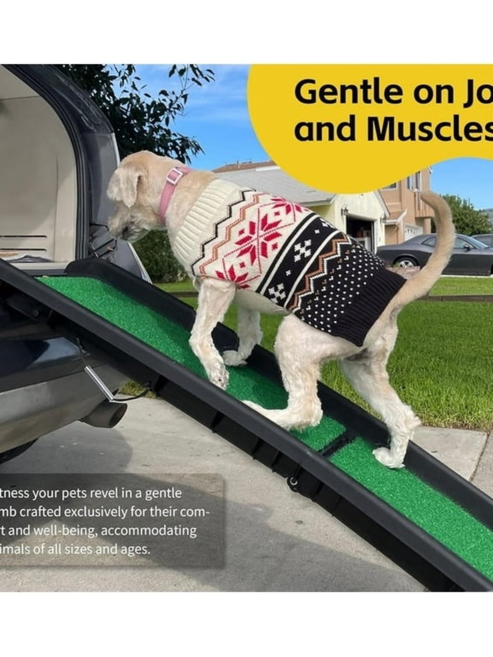 Dog Ramp with Green Traction turf Surface